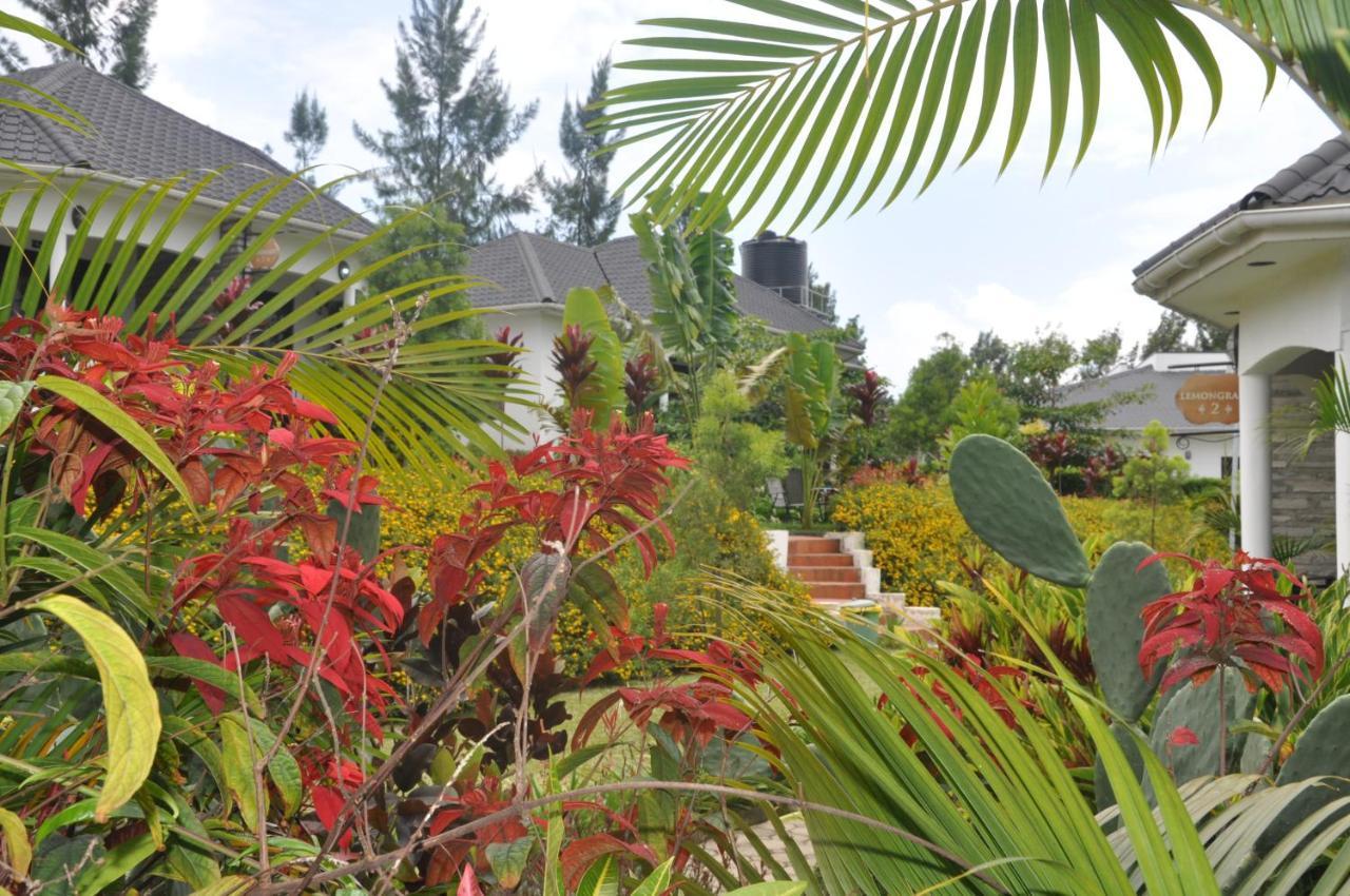 Home Bliss Hotel- Fort Portal Uganda Екстер'єр фото